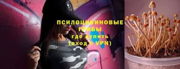 бошки Аркадак