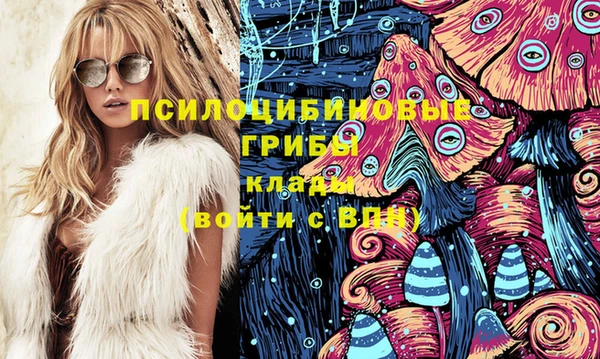 бошки Аркадак