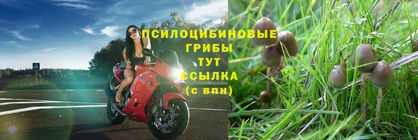 каннабис Арсеньев